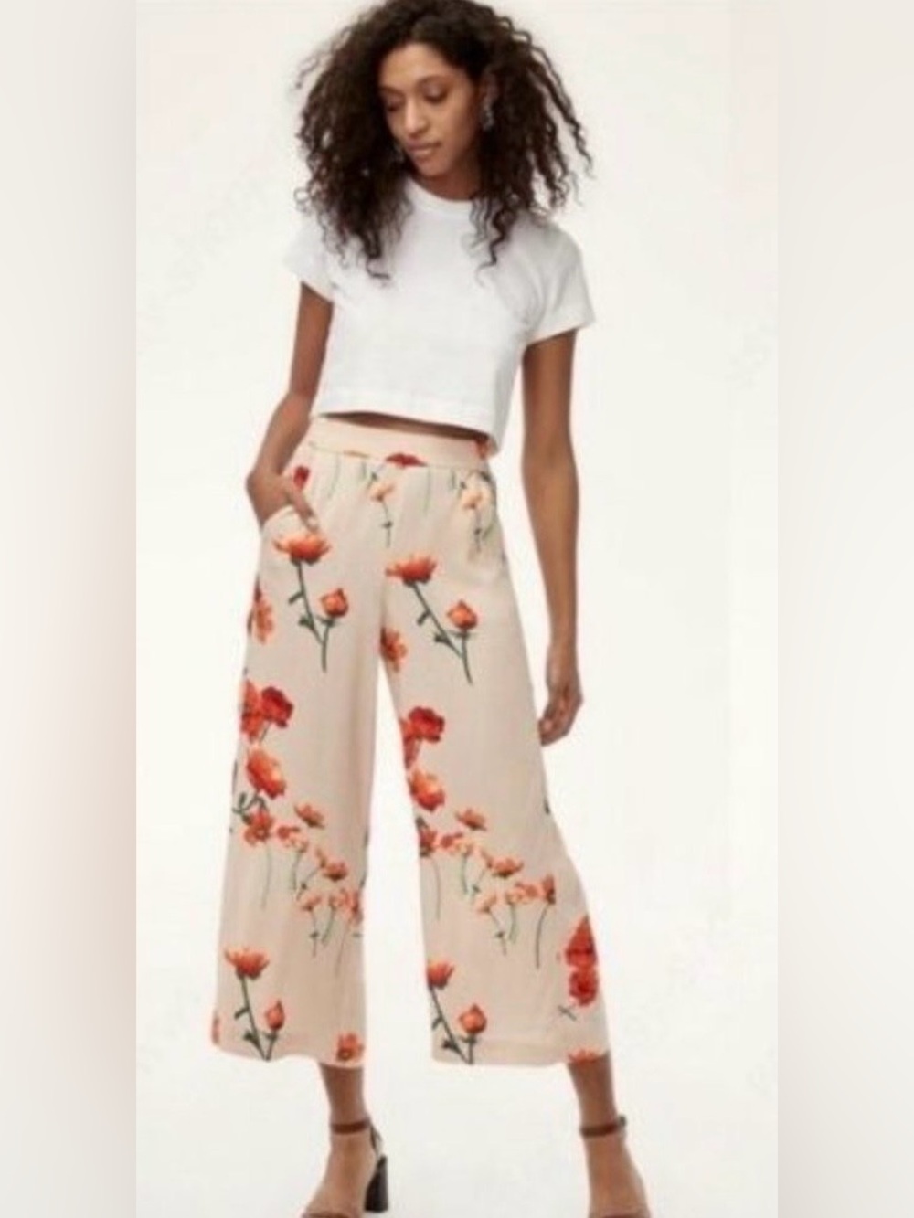 Aritzia Faun Pants